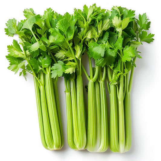 Celer Stablo (Francuski)