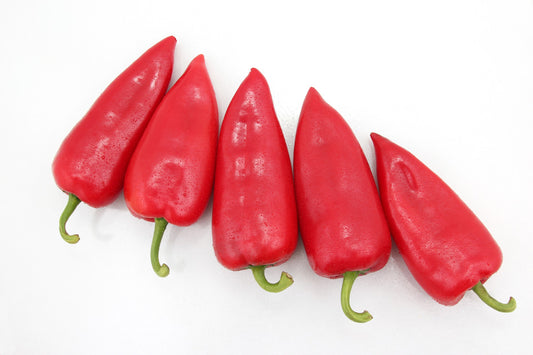 Paprika Crvena Šilja Premium